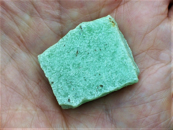 tessera
